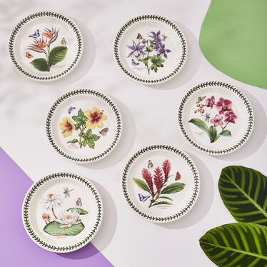 Exotic Botanic Garden Plate Set, 8.5 Inch